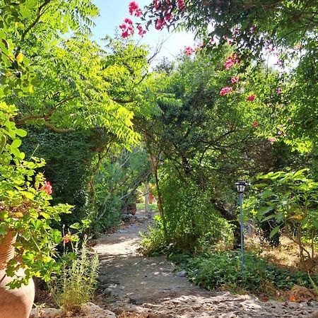 כליל Villa Adama מראה חיצוני תמונה