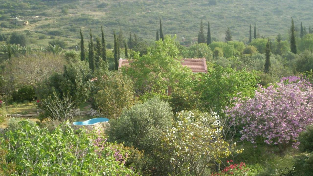 כליל Villa Adama מראה חיצוני תמונה