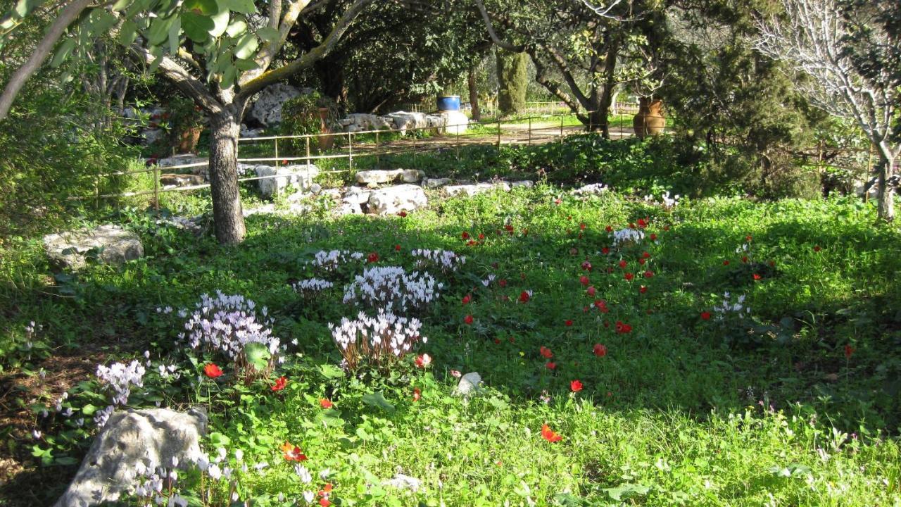 כליל Villa Adama מראה חיצוני תמונה