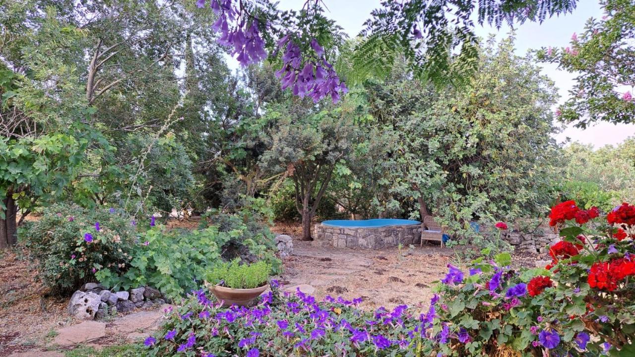 כליל Villa Adama מראה חיצוני תמונה