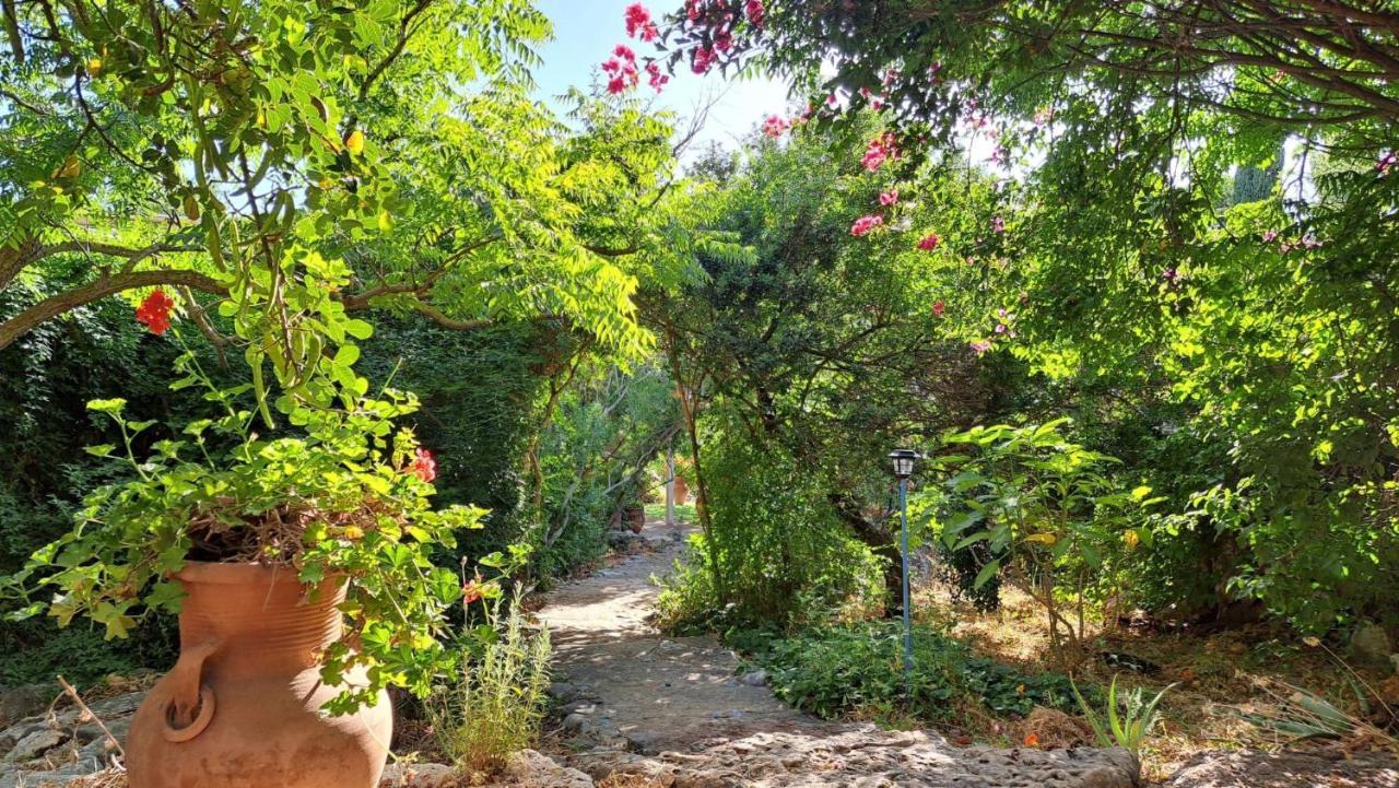 כליל Villa Adama מראה חיצוני תמונה
